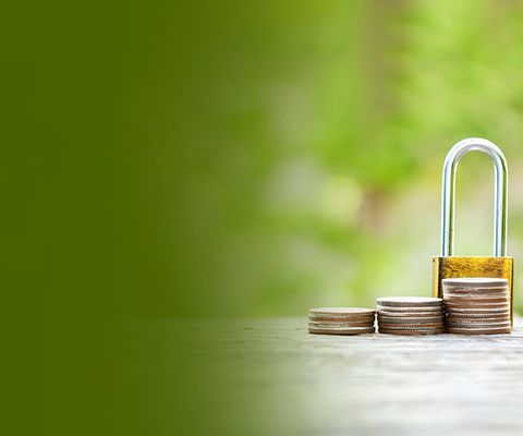 CB-Mobile-480x400-18